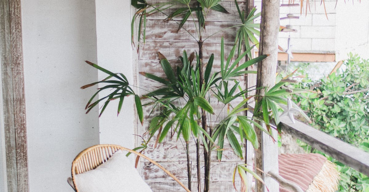 Benefits of Green Roof Installation in the UK