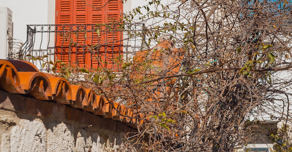 Comparing Asphalt Roofing to Other Materials for UK Properties