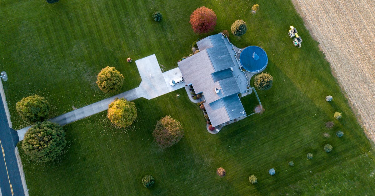 Cost-Effective Green Roof Solutions for UK Properties