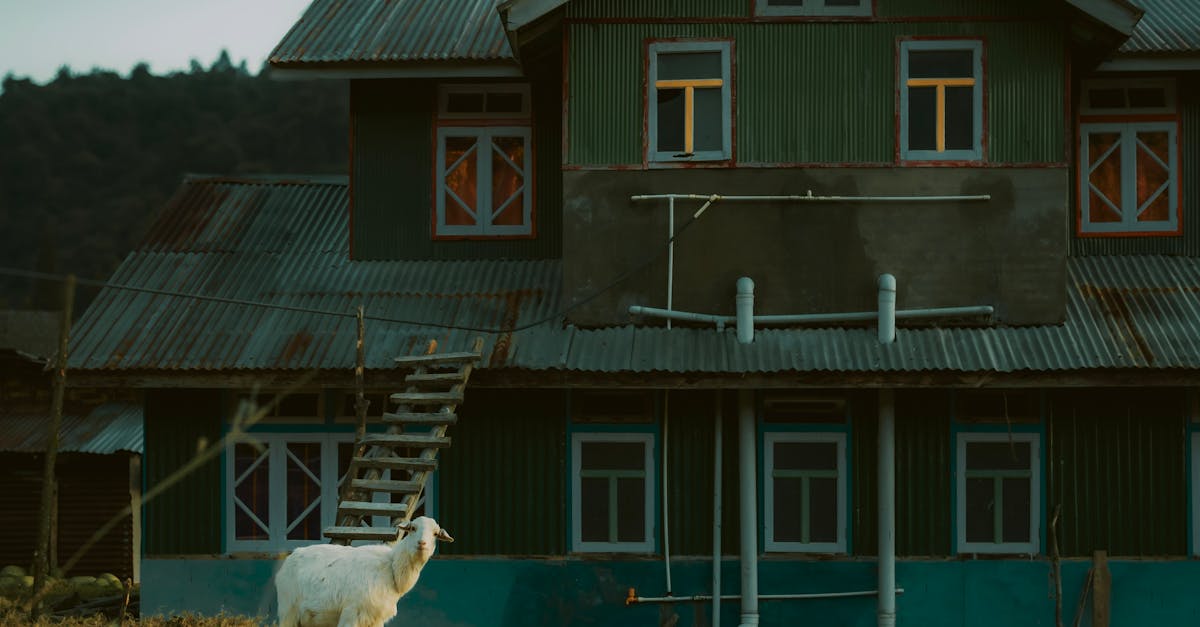 Fire Safety Regulations for Flat Roofing in the UK