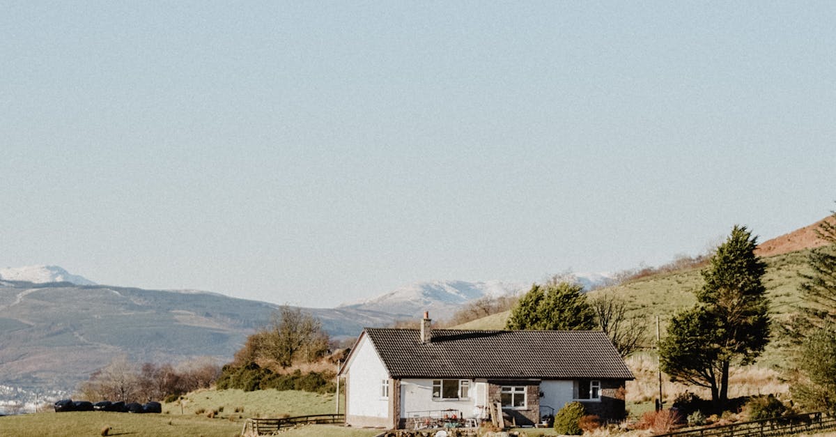 Longevity and Durability of Wood Shingle Roofs in the UK