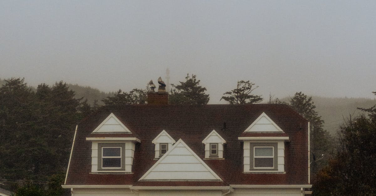 Maintenance Tips for Solar Panels Installed on UK Roofs