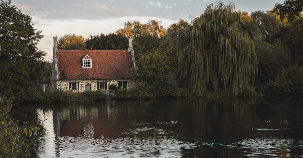 Understanding Different Types of Roof Leaks